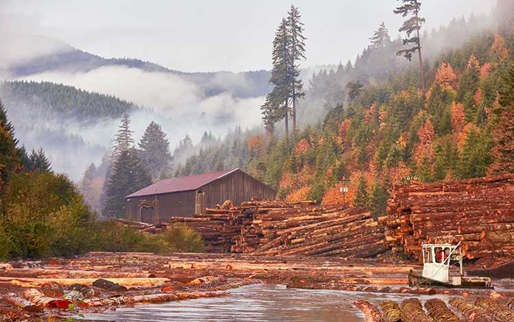 A landscape of mountains, trees, logs, and a small shack.